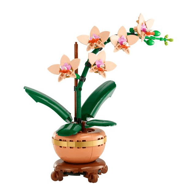 Botanicals Mini Orchid