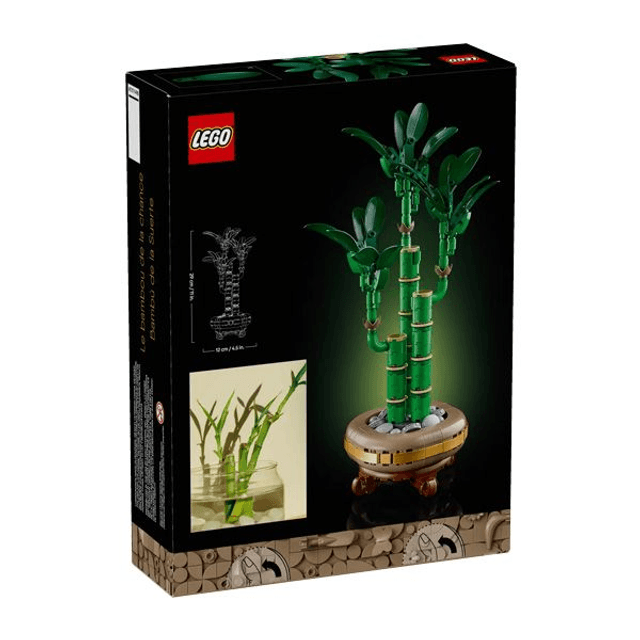 Botanicals Lucky Bamboo